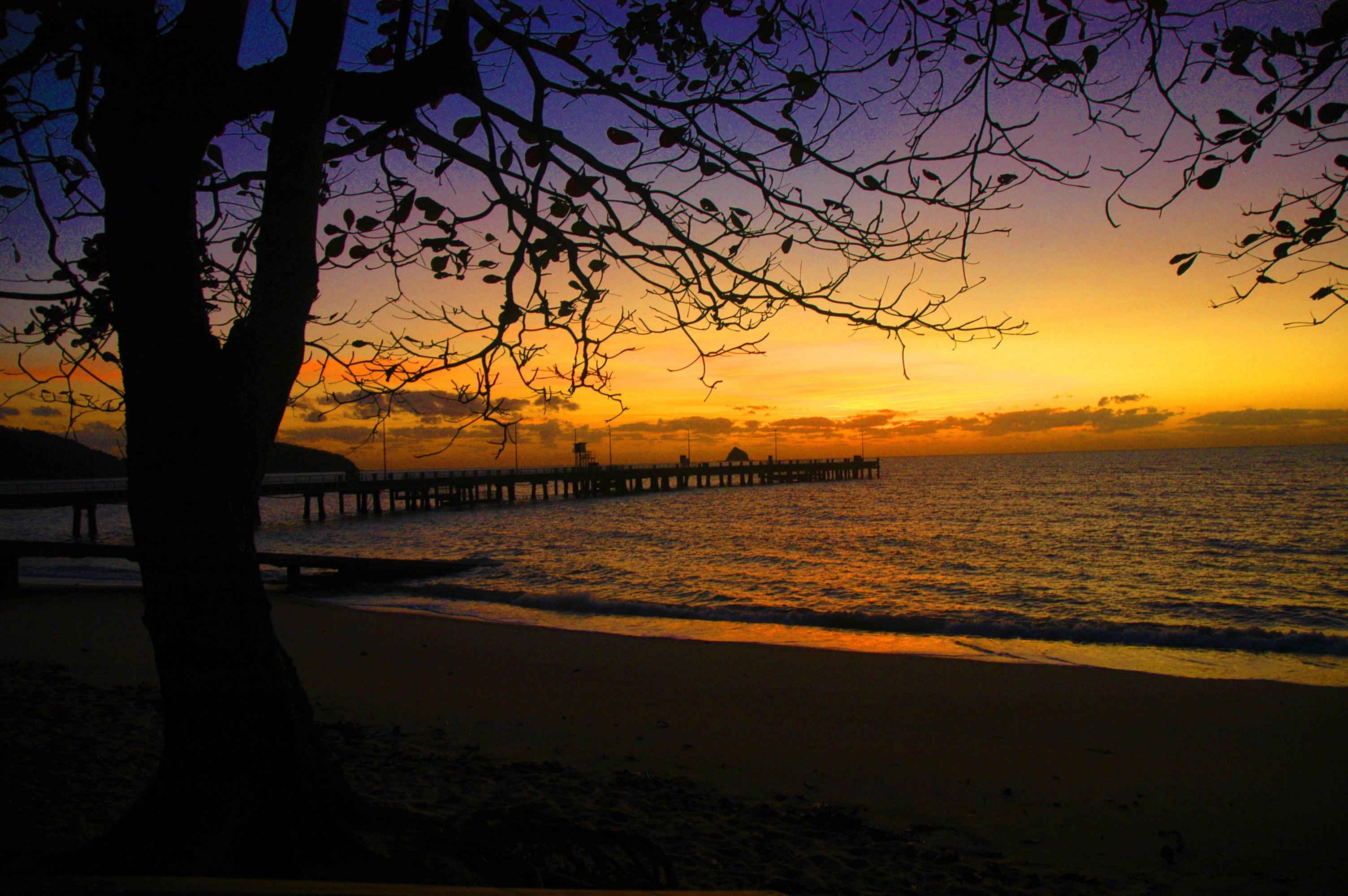 Hotel The Reef Retreat Palm Cove Exteriér fotografie