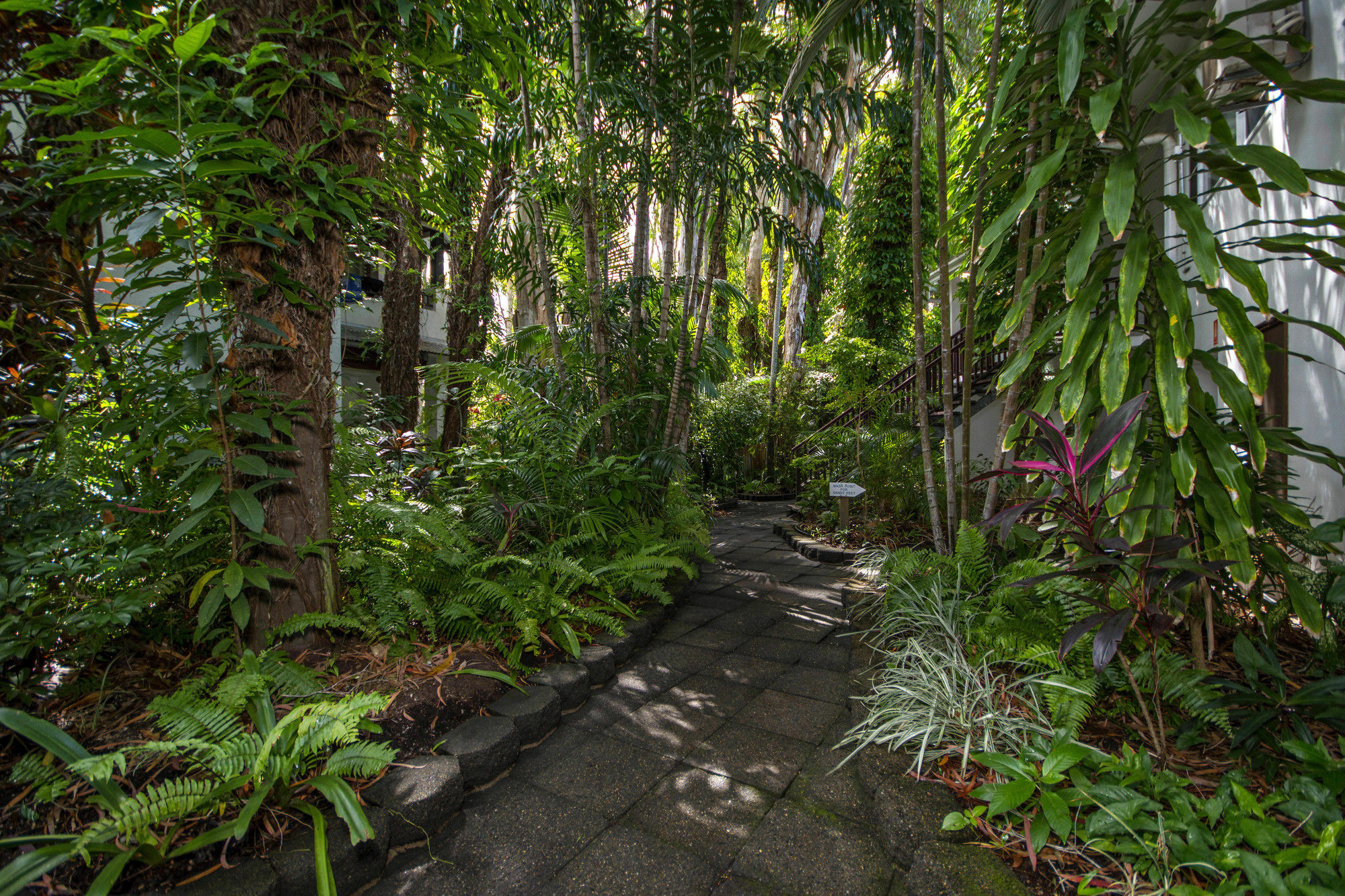 Hotel The Reef Retreat Palm Cove Exteriér fotografie